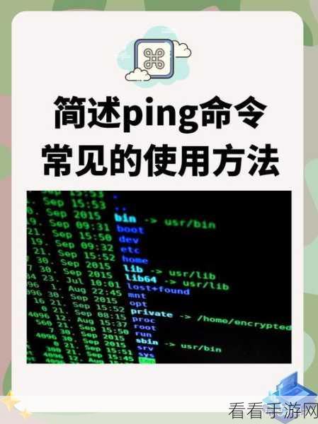 掌握 Android Ping 命令，轻松测试连通性秘籍