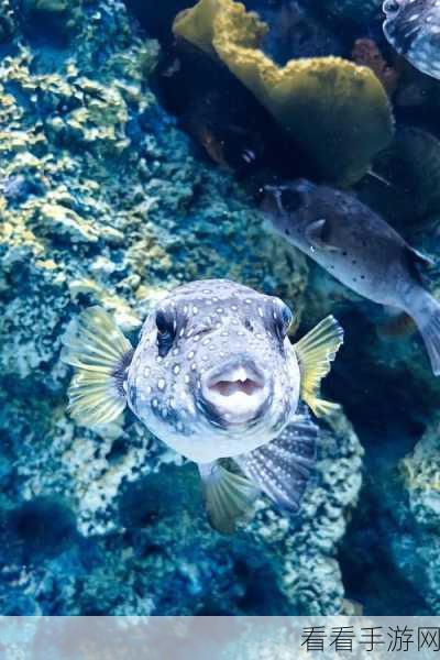 深海水族馆安卓版下载，经营技巧揭秘，打造梦幻海底世界