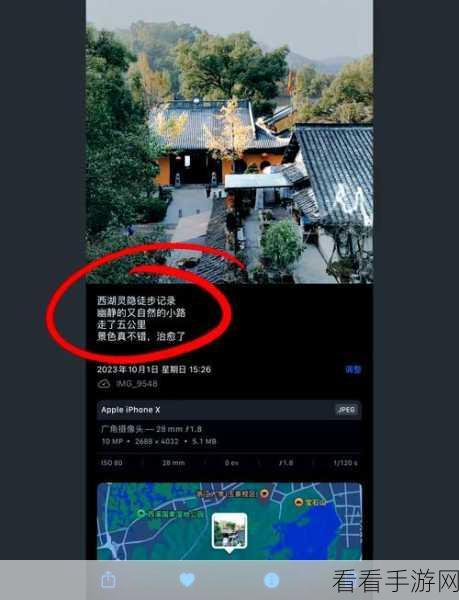 轻松搞定亿图信息图文字更改,方法全在这里!