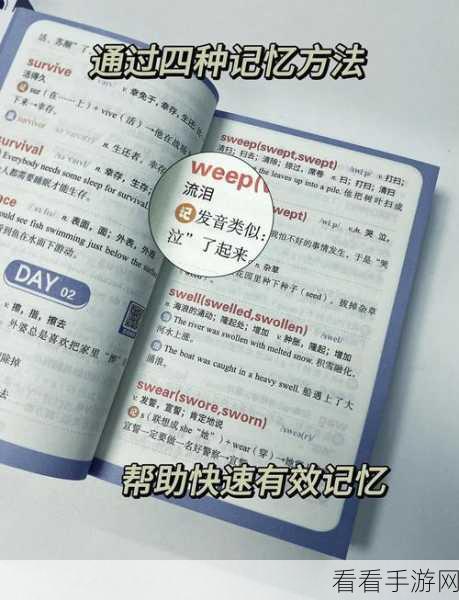 轻松搞定!VLC Media Player 记忆播放设置秘籍