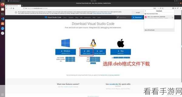 探索 Linux 中 Python 命令的网络配置奥秘