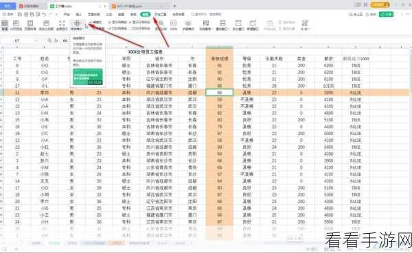 轻松掌握,WPS Excel 表格添加删除线的妙法