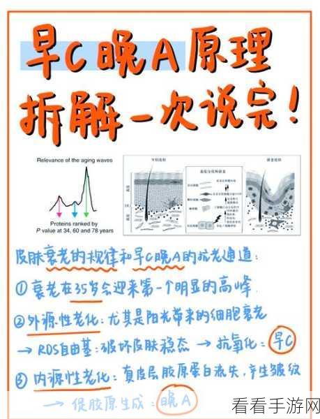 C中 ShowTipsSuccess 提示框位置调整秘籍