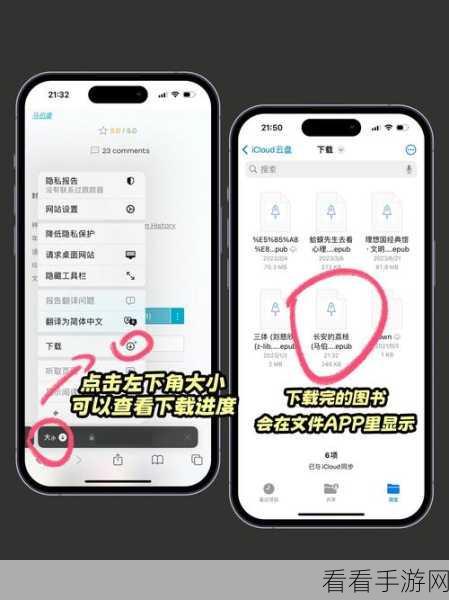 轻松搞定！Safari 浏览器原始设置还原秘籍