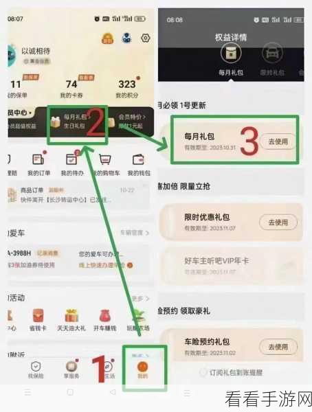 平安好车主，违章查询与车险续保全攻略