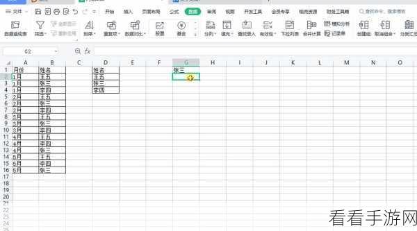 轻松掌握！WPS 表格编辑栏显示秘籍