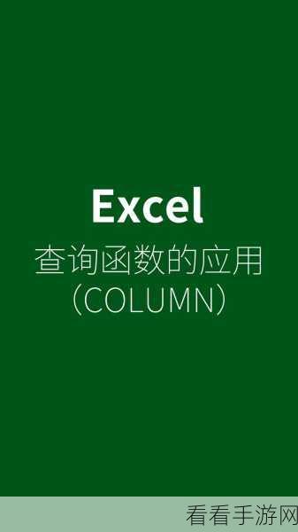 Excel 数据序号添加秘籍，轻松搞定大量文本