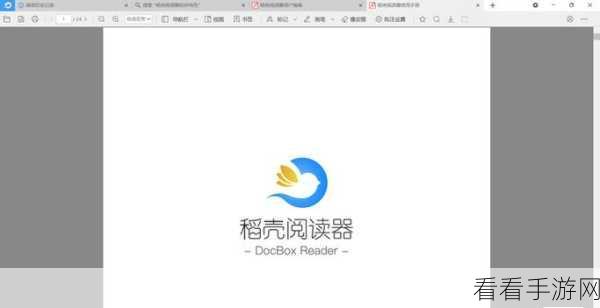 轻松搞定稻壳阅读器双页模式设置秘籍
