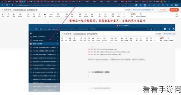 轻松掌握!Edge 浏览器分屏功能隐藏秘籍