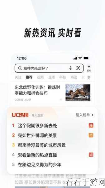 轻松掌握！UC 浏览器下载文件查看秘籍