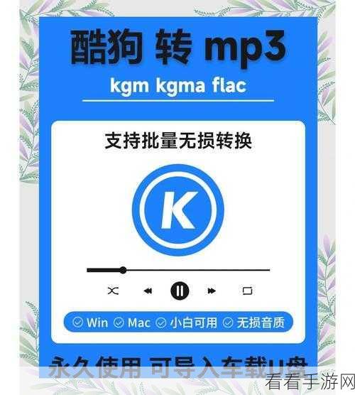 轻松搞定!电脑版酷狗音乐格式转换秘籍