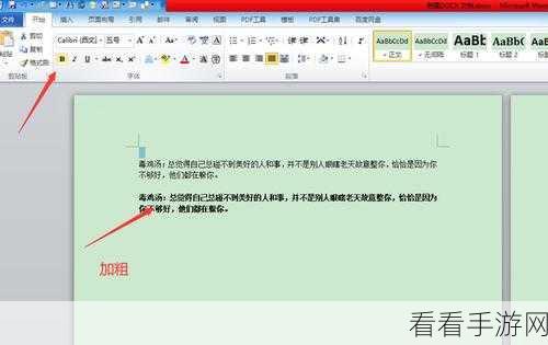 轻松掌握!WPS Word 文字倾斜设置秘籍