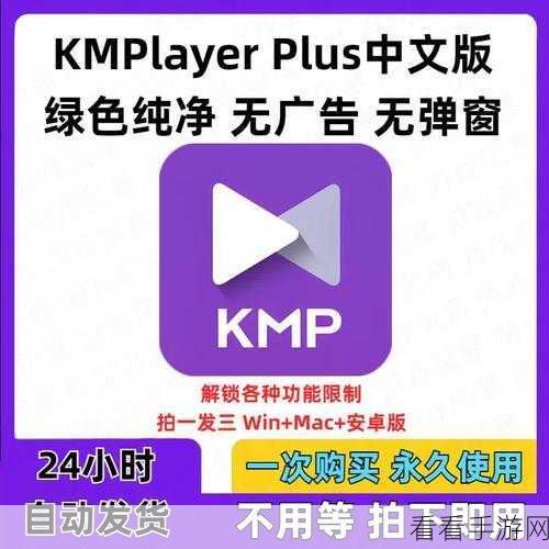 轻松搞定 Kmplayer Plus 更新秘籍