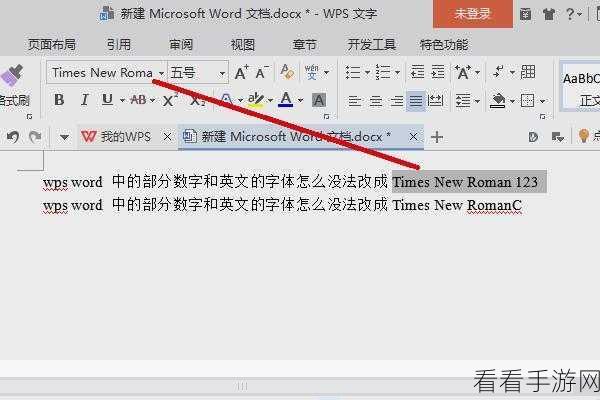 轻松搞定！WPS 中数字和英文变为 Times New Roman 格式秘籍