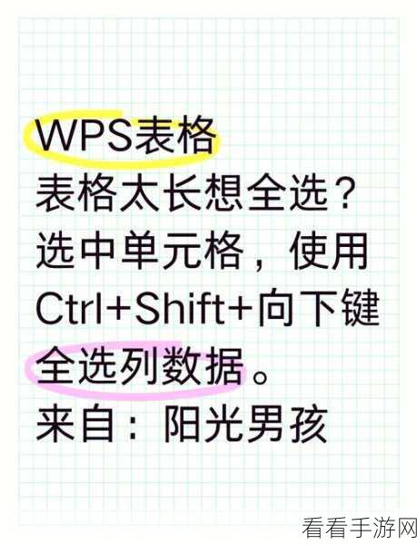轻松掌握!WPS 表格首字母排序秘籍