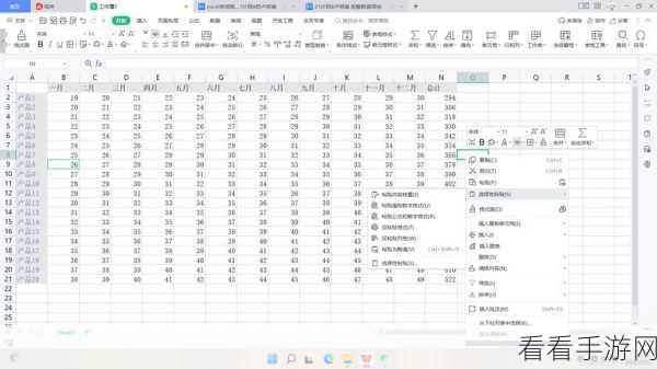 轻松掌握 WPS Excel 姓名拼音排序秘籍
