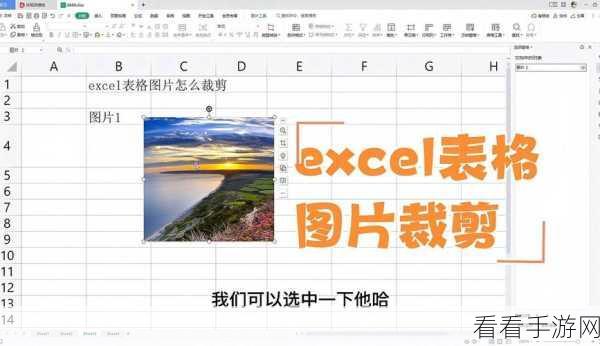 WPS 图片裁剪秘籍，轻松打造理想图形