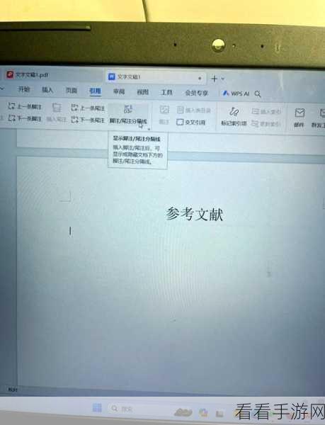 轻松搞定！电脑版 WPS 文档删除线加粗秘籍