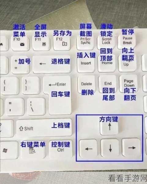 轻松掌握！电脑版钉钉截图快捷键修改秘籍