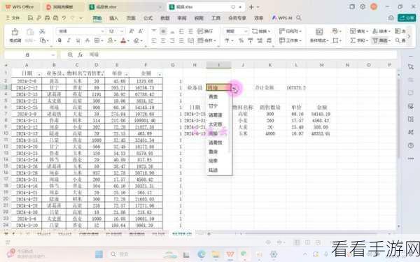 掌握 WPS Excel 表格文档筛选分析图表的秘籍