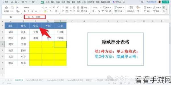 WPS Excel 年份提取秘籍，快速搞定的妙招大公开
