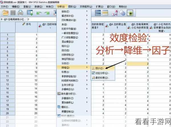 轻松搞定 SPSS 值标签设置，详细方法与步骤指南