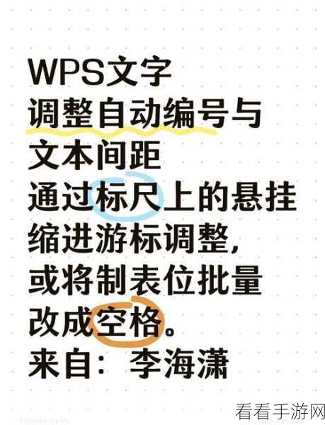 轻松掌握！WPS 文字大纲秒变 PPT 的神奇秘籍