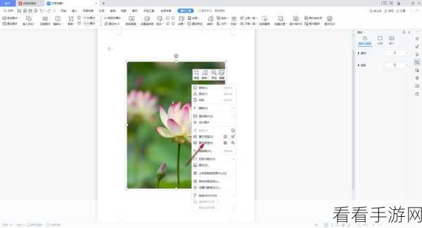 轻松掌握，WPS Word 为图片注解文字秘籍