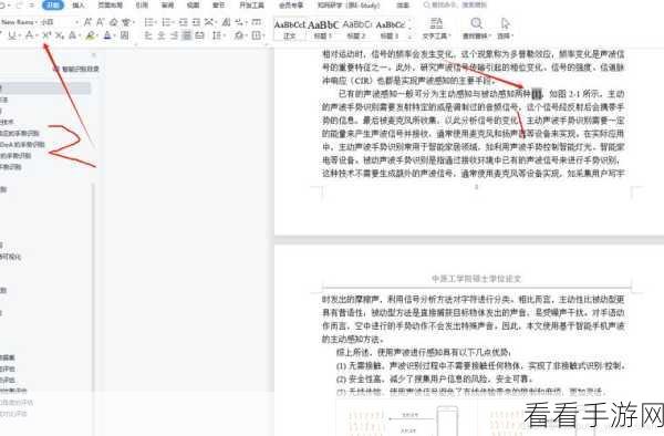 轻松掌握，WPS Word 为图片注解文字秘籍
