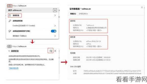 轻松掌握，Edge 浏览器查看与管理 HTTPS/SSL 证书秘籍