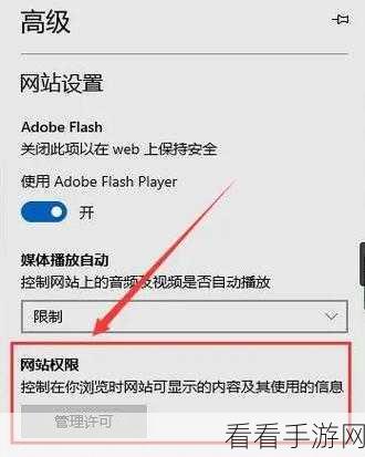 轻松搞定！Edge 浏览器允许扩展访问文件 URL 的秘籍