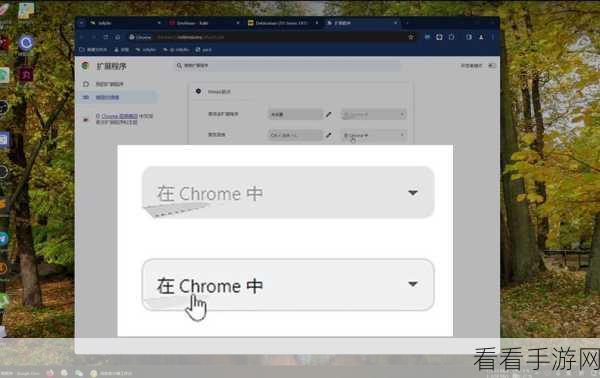 轻松搞定！Chrome 浏览器网页自动填充表单功能关闭秘籍