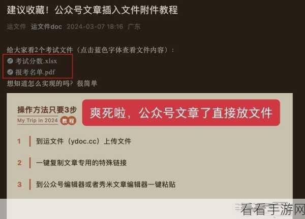 轻松搞定电脑版 TIM 接收文件安全等级设置秘籍