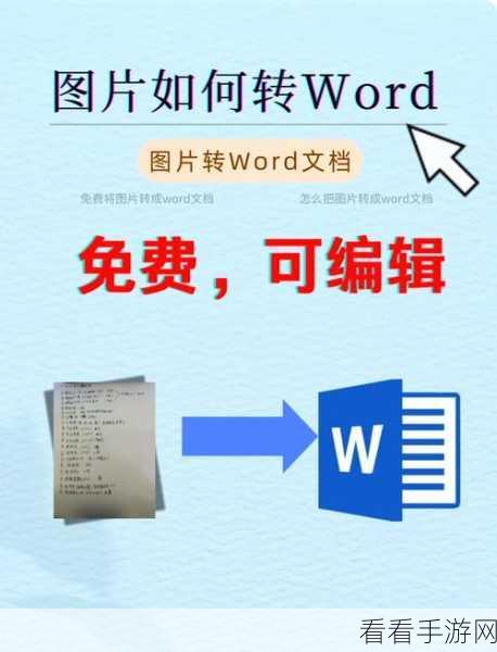 电脑版 Word 文档等宽两栏添加分隔线秘籍