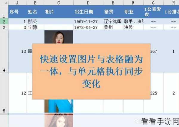 Excel 图片完美嵌入单元格秘籍，轻松实现图片与表格融合