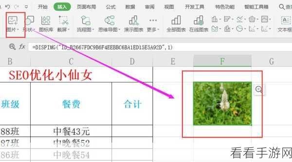 Excel 图片完美嵌入单元格秘籍，轻松实现图片与表格融合