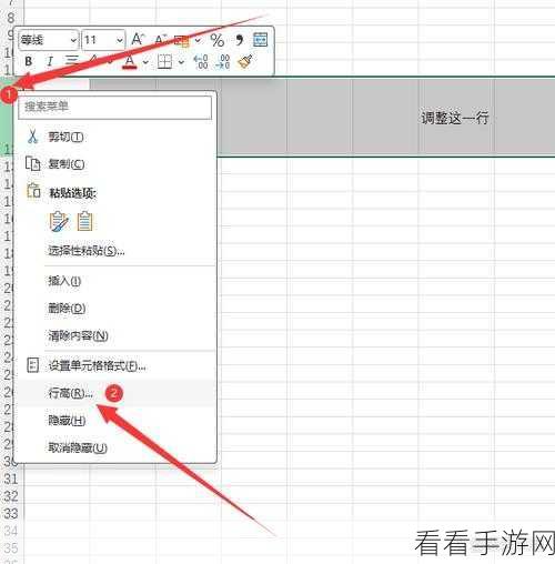 轻松掌握 Excel 行高列宽调整秘籍