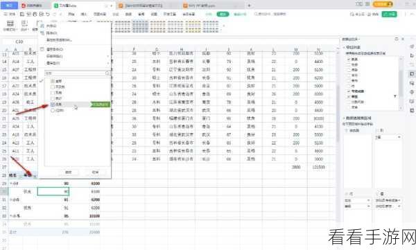 轻松掌握 WPS Excel 数据透视表值筛选技巧