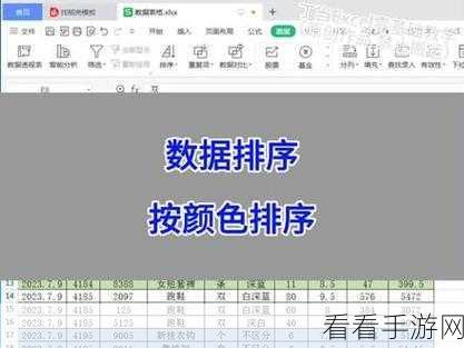 WPS Excel 中巧标前十项的颜色秘籍