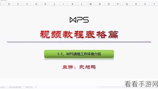 轻松搞定 Wps Excel 单元格标题格式设置秘籍