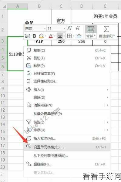 轻松掌握！电脑版 WPS 表格文字竖排秘籍