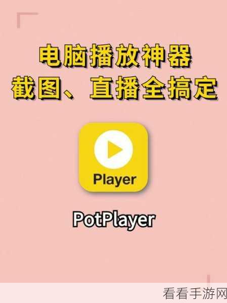 轻松搞定 PotPlayer 音频播放位置记忆设置秘籍