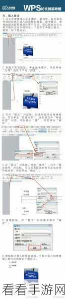 轻松搞定！WPS Word 窗体域底纹去除秘籍