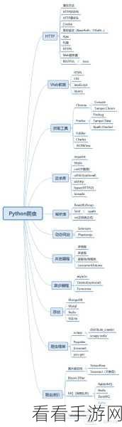 Python 爬虫与反爬虫，掌握技巧与应对策略