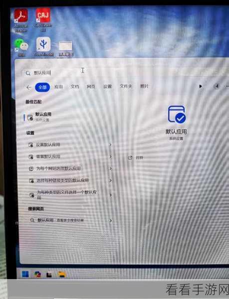 轻松搞定！电脑版 WPS 文档圆形单选按钮设置秘籍