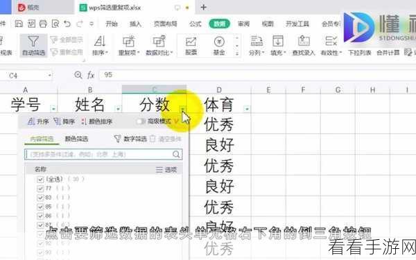 WPS 表格秘籍，轻松筛选重复项与提取独特数据