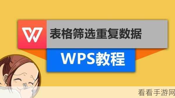WPS 表格秘籍，轻松筛选重复项与提取独特数据