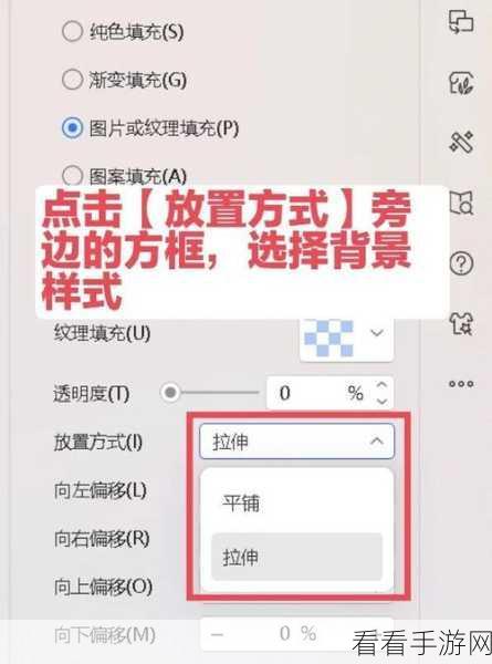 WPS PPT 放映秘籍,轻松隐藏背景图