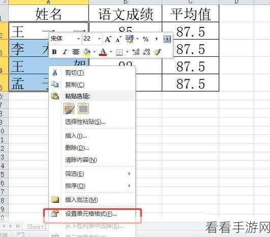 Excel 表格字体紧缩秘籍，让字体变窄的实用技巧