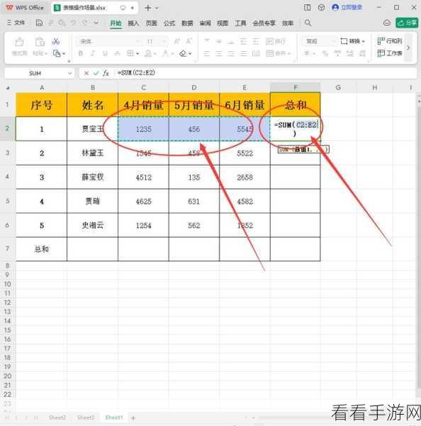 轻松掌握 WPS Word 表格自动求和秘籍